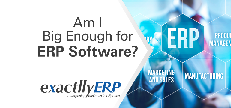 Am-i-big-enough-for-ERP-software