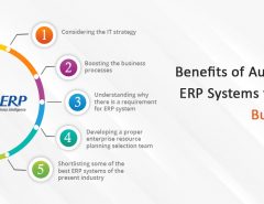 5 Types of ERP Software Delivery Models | ERP Software