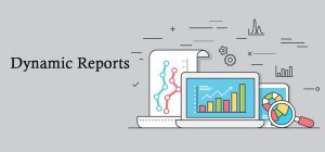 Dynamic Reports