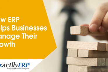How-ERP-Helps-Businesses-Manage-Their-Growth
