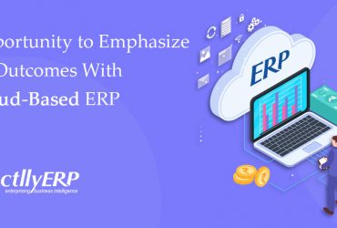 Cloud based ERP