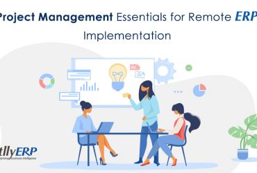 remote erp implementation