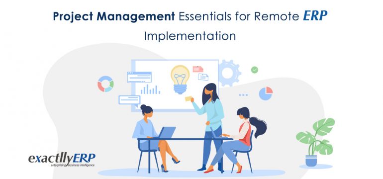 remote erp implementation