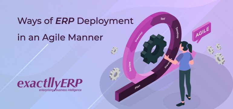 erp deployment