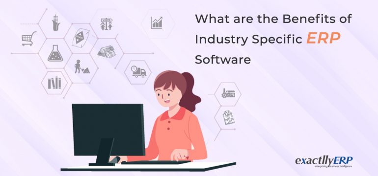 Industry specific erp software