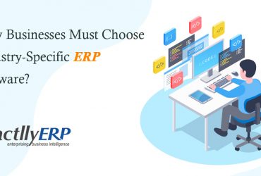 industry-specific erp