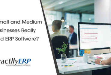 do-small-and-medium-businesses-reality-need-erp-software