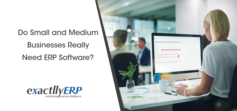 do-small-and-medium-businesses-reality-need-erp-software