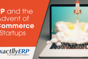 erp-and-the-advent-of-ecommerce-startups0