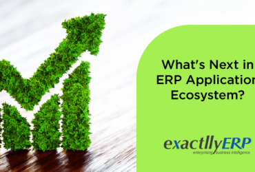 whats-next-in-erp-application-ecosystem