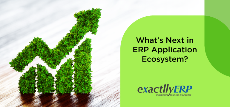 whats-next-in-erp-application-ecosystem