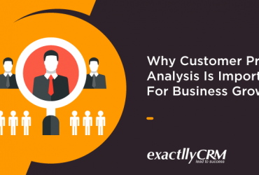 why-customer-profile-analysis-is-important-for-business-growth