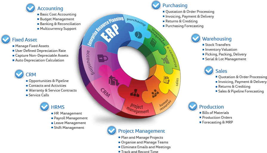 ERP infograph