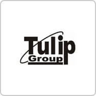 Tulip Logo