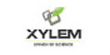 xylem